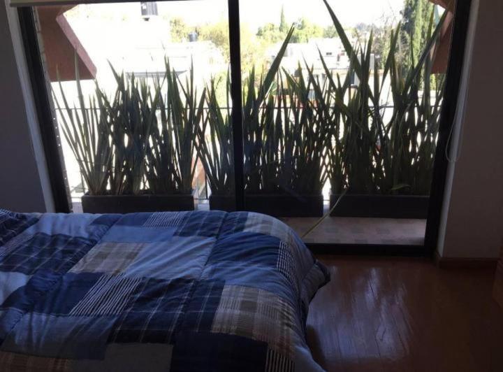 Casa Amplia En Lomas De Chapultepec Appartement *